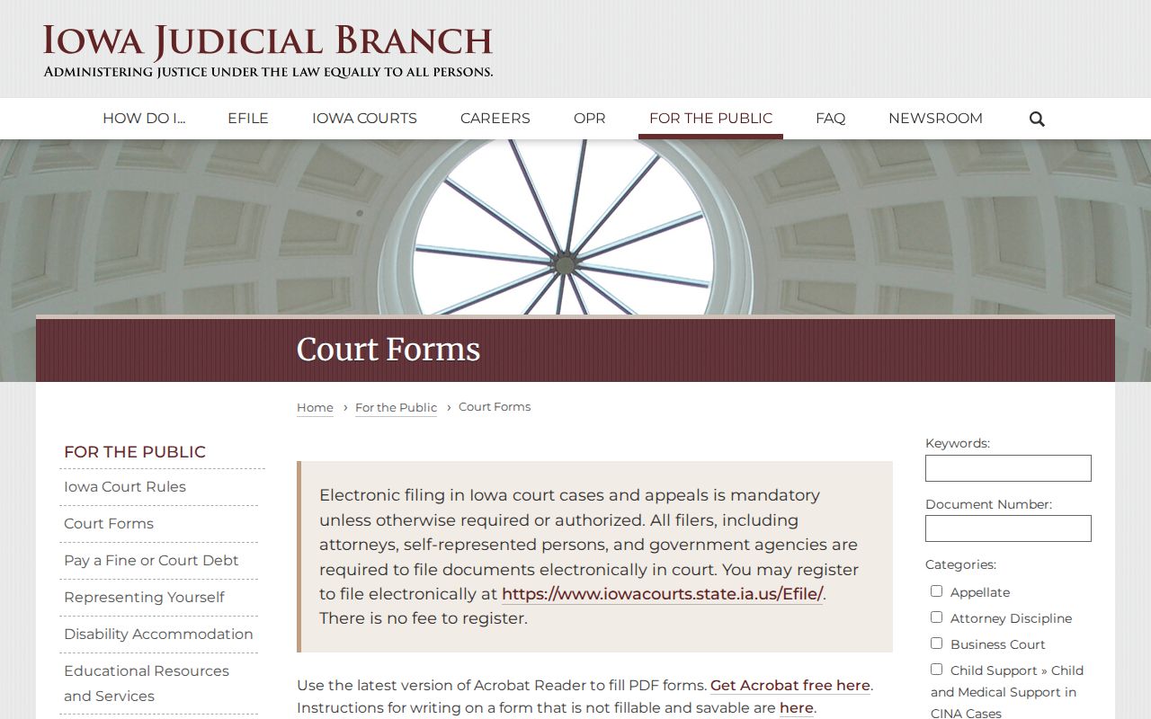 Appanoose County criminal court forms source